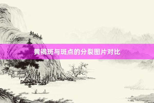 黄褐斑与斑点的分裂图片对比