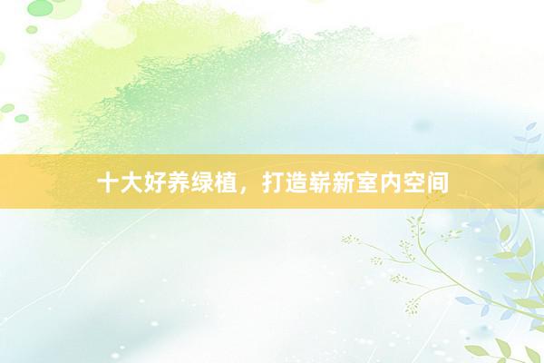 十大好养绿植，打造崭新室内空间